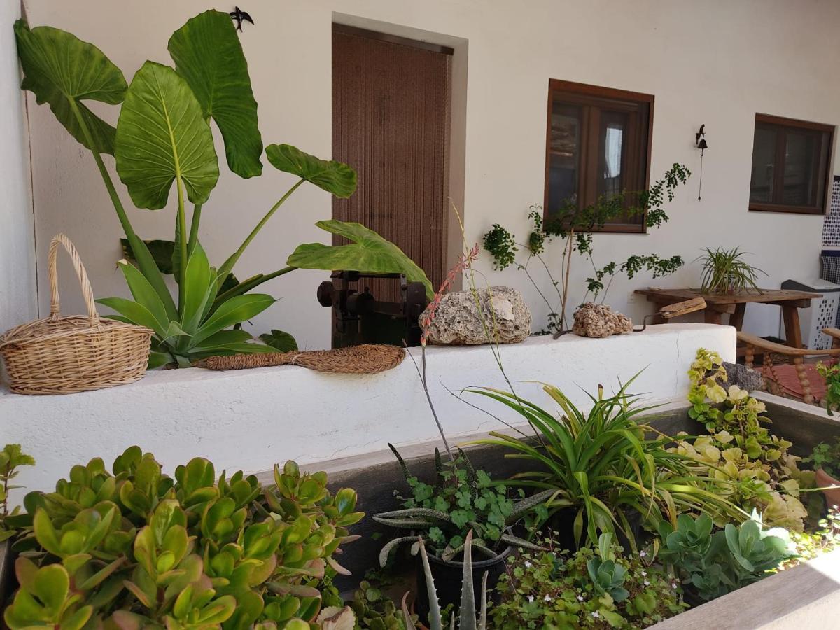 لوركا Confortable Casa Rural Con Ecohuerto Y Jardin المظهر الخارجي الصورة